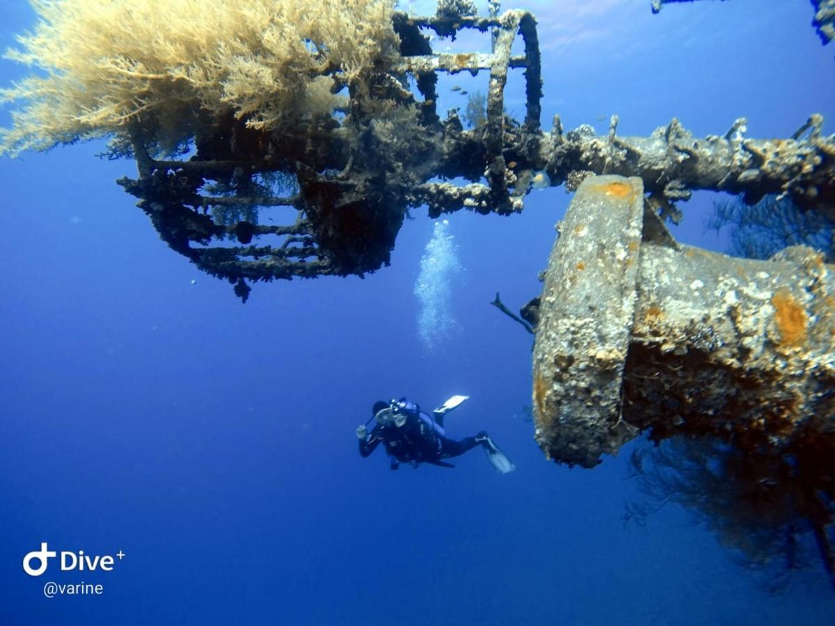 Aqaba Pro Divers Dış mekan fotoğraf