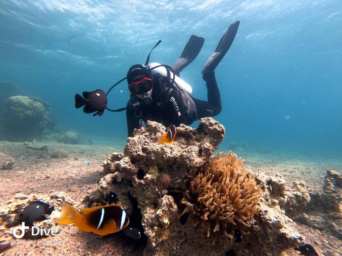 Aqaba Pro Divers Dış mekan fotoğraf