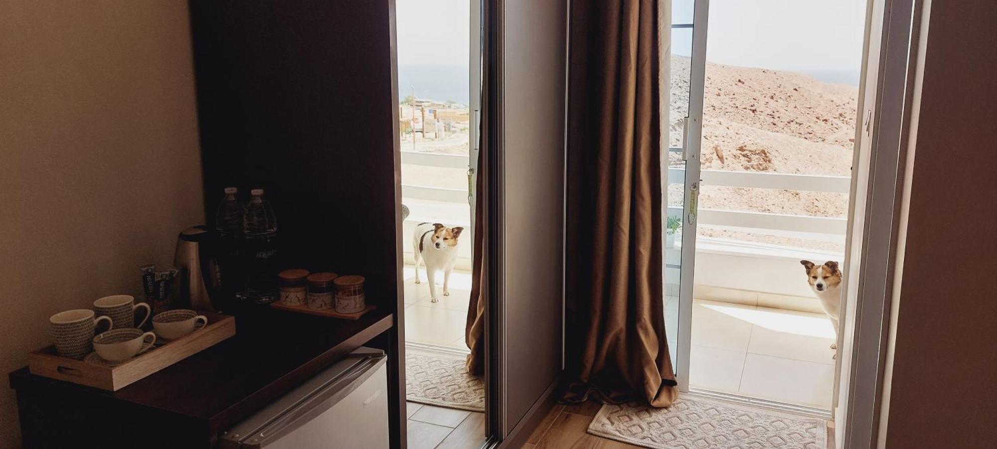 Aqaba Pro Divers Dış mekan fotoğraf