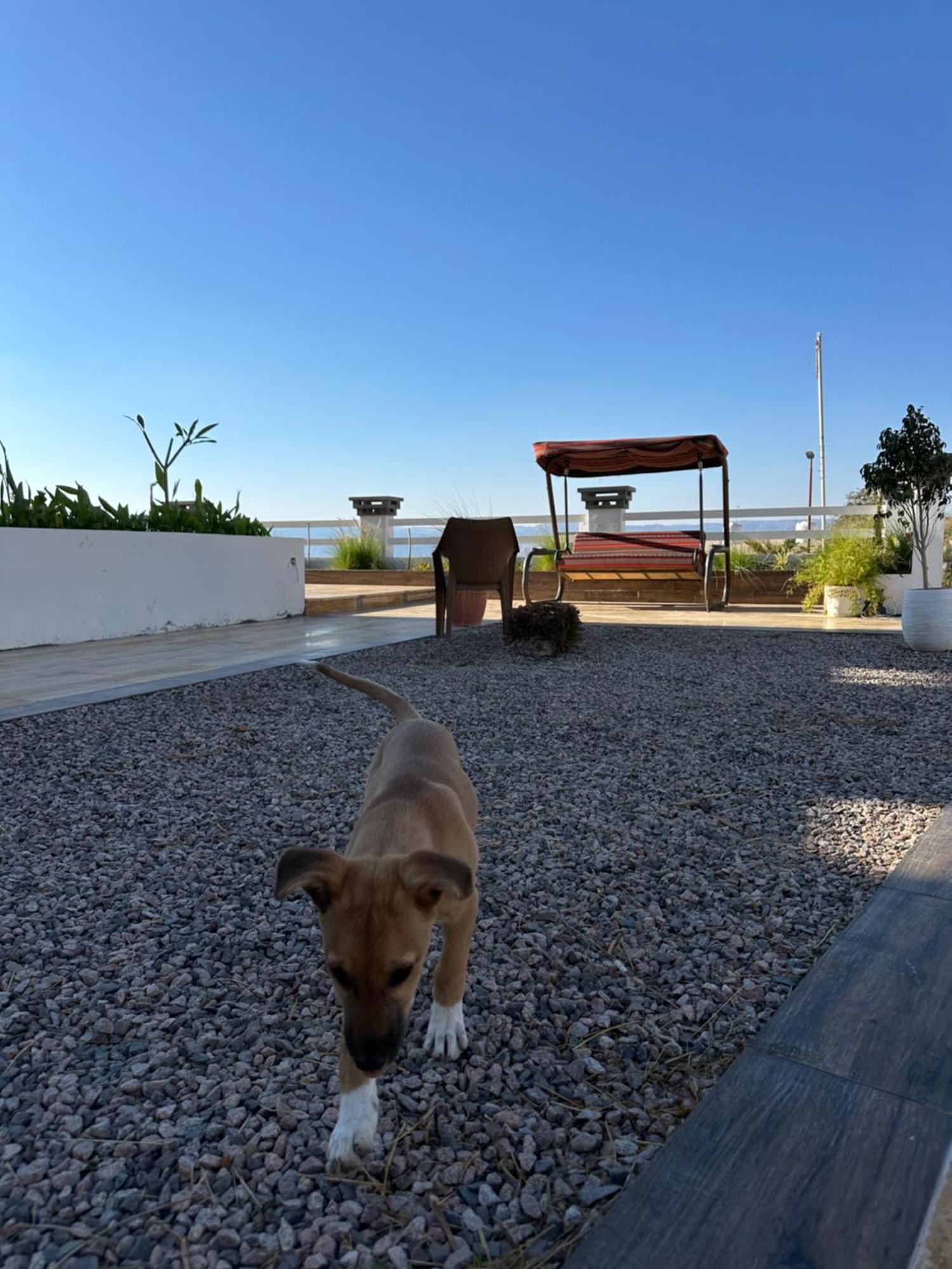 Aqaba Pro Divers Dış mekan fotoğraf